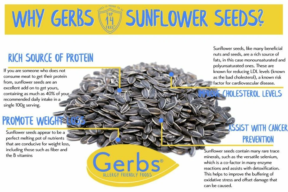 Raw Premium USA Grade Sunflower Seeds, In Shell, Resealable Bag Health Benefits