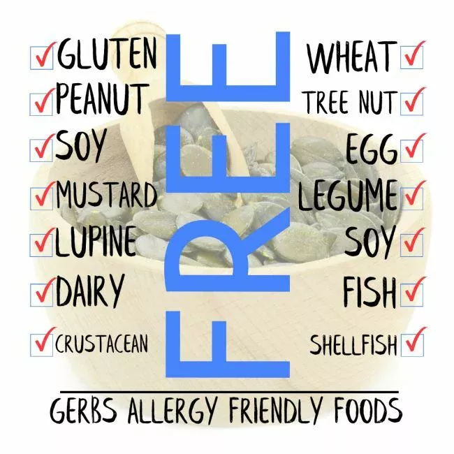 Raw Shine Skin Pumpkin Seed Kernels No Shell Pepitas, Resealable Bag Free from Top 14 Food Allergens