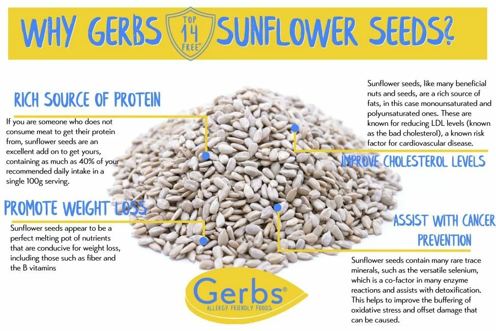 Raw Premium USA Grade Sunflower Seed Kernels, out of shell, Resealable Bag Health Benefits