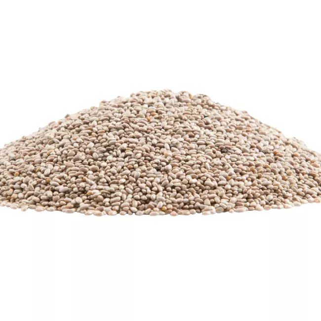 Raw Premium Grade White Chia Seeds, Resealable Bag