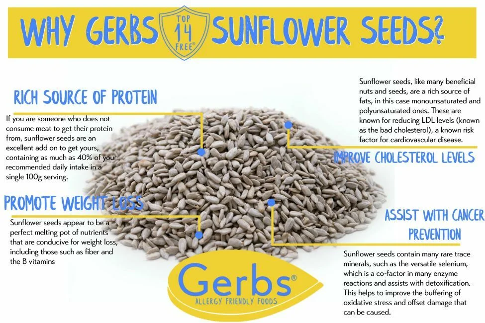 Unsalted Roasted Premium USA Grade Sunflower Seed Kernels, out of shell, Resealable Bag Health Benefits