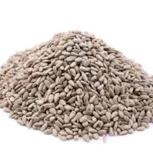 Toasted Onion & Garlic Roasted Sunflower Seed Kernels, Resealable Bag